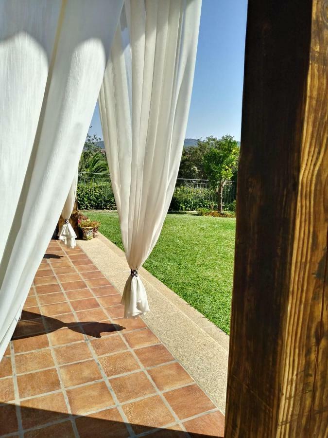 Jardin De La Yedra Cáceres Exterior foto