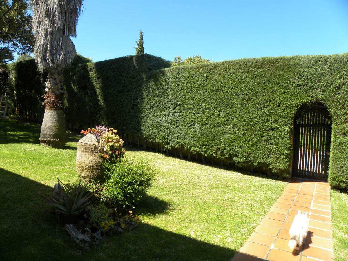 Jardin De La Yedra Cáceres Exterior foto